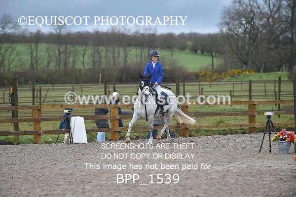 BPP_1539 - CLASS 7 Pony Discovery / 90cm Open