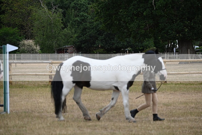 WJ6_7834 - Class 10 Coloured in Hand