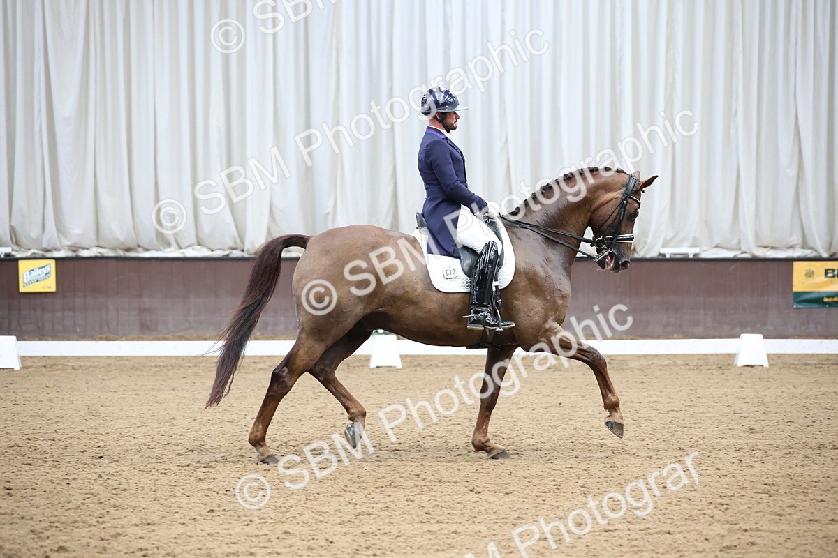SBM_004801 - Class 9 - FEI Inter 1 Gold - 16.59-17.47