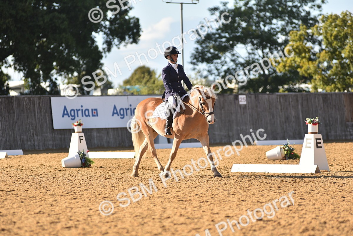 SBM_11405 - D28 - Elementary