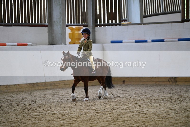 WJ5_7001 - Class 10 Childs Pony