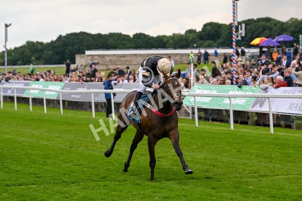 140624-Race 3-Alfa Kellenic-4322 - Race 3 3.00pm British EBF Supporting Racing With Pride Fillies' Handicap