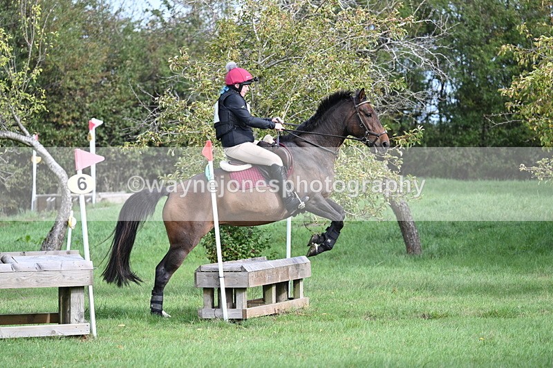 WJ7_8311 - 60cm Pairs