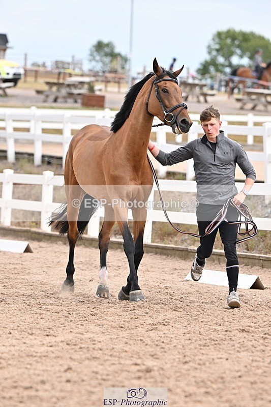 250716-151606-01833 - Trot Up 2.30 to 3.30