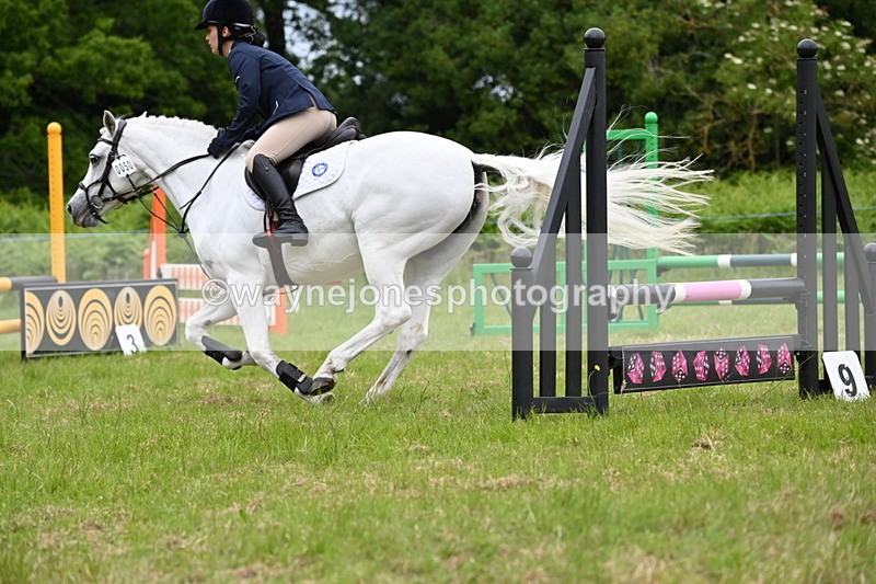 WJ6_5623 - Class 5 pairs 70cm