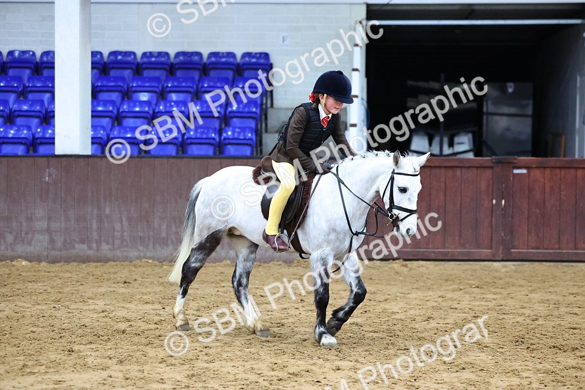 SBM_004191 - Class 38 - Unaffiliated Novice Plaited WHP