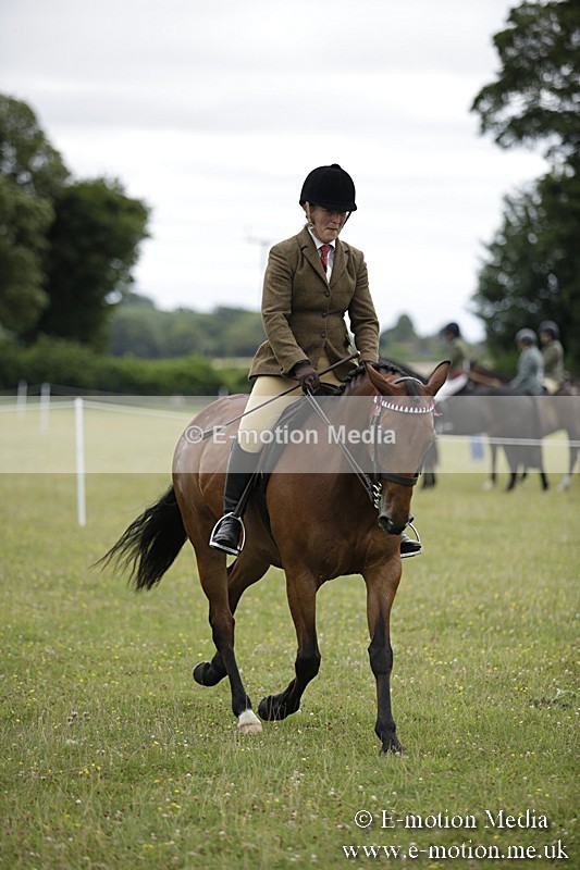 BVR160717-782 - Ring 1 BVRC Show 16/07/17