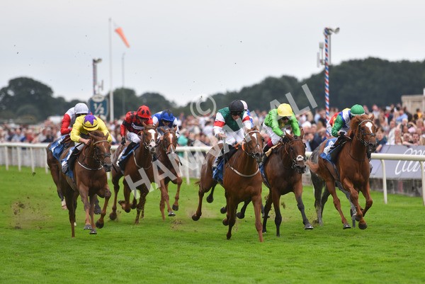 yr20082021r6-31 - Race 6 4.40pm Assured Data Protection British EBF Fillies' Stakes