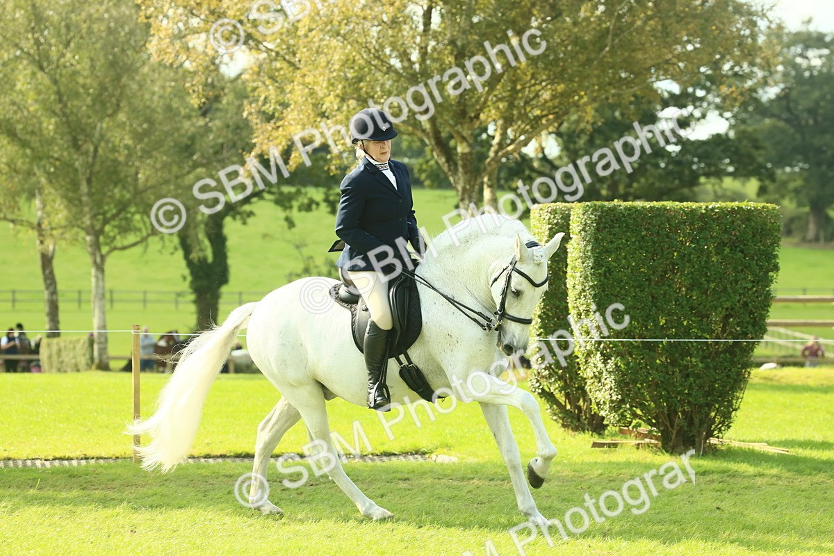 SBM_62403 - S62 - Foreign Breeds Ridden