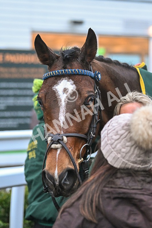 100225-Race 5-Achnamara-6869 - Race 5