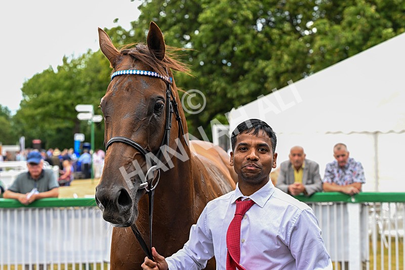 010826-Race 3-Brighton Beach-2804 - Race 3 14.43pm Theakston Great Yorkshire Pint EBF Novice Stakes