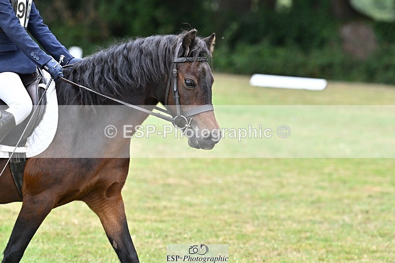 250820A-102154-02551 - Start to 11am