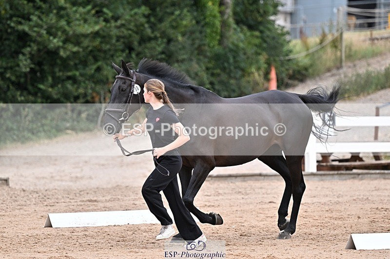 250716-134058-00625 - Trot Up 1.30 to 2.30