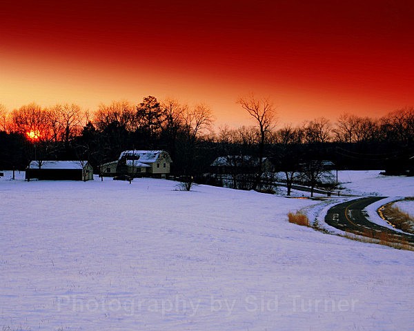  - Scenics and Life