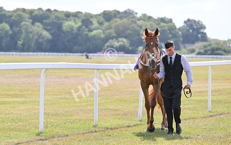 220826-032 Baltic Fleet - Race 2 14.25pm Sky Bet Melrose Handicap