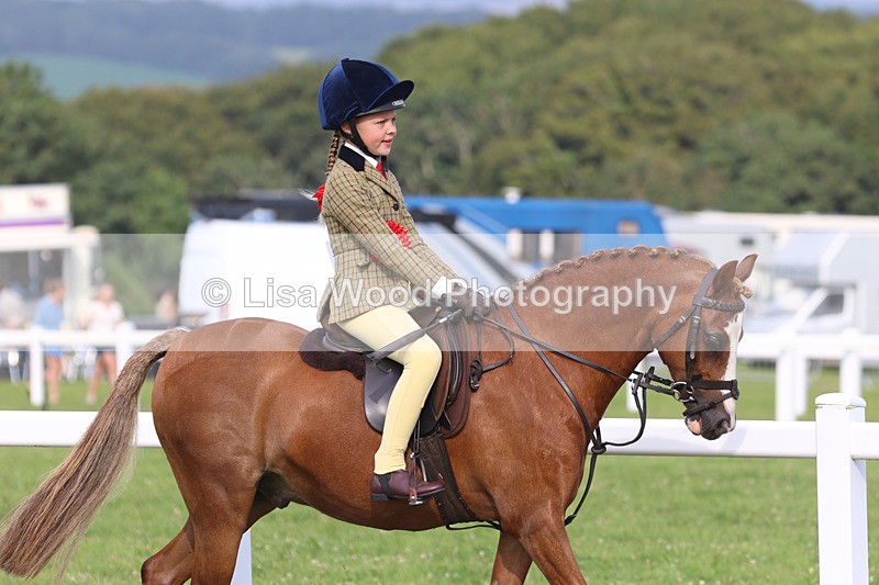 JPP_4584 - Working Hunter Championship