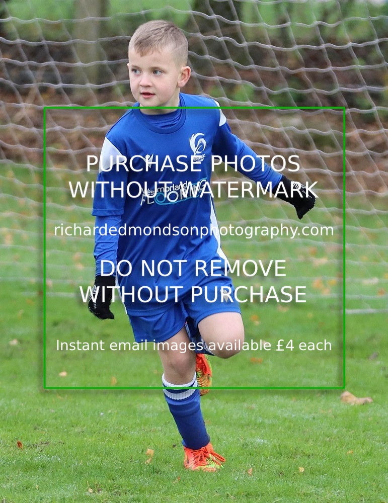 IMG_1866 - Ibis Under 9 vs Sedbergh Wanderers Under 9 (19/11/22)