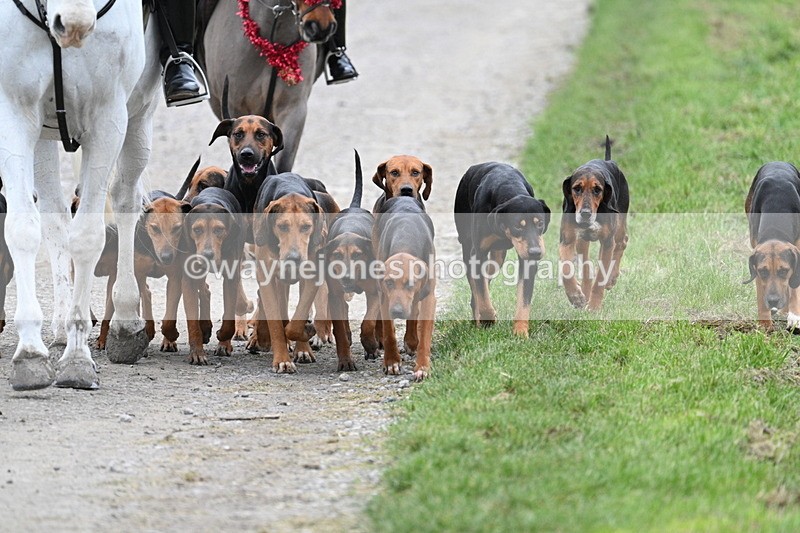 WJ7_1206 - Walk Home