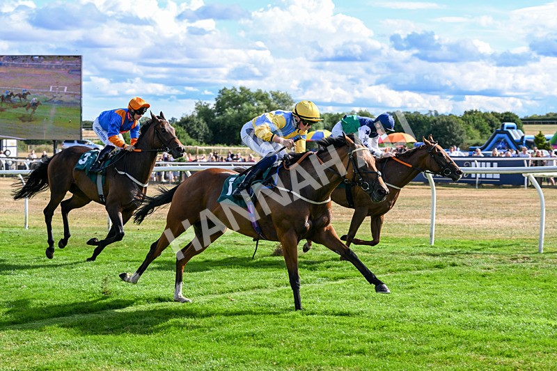 040826-Race 6-Without Flaw-5662 - Race 6 16.45pm Racing Again 17th August Handicap