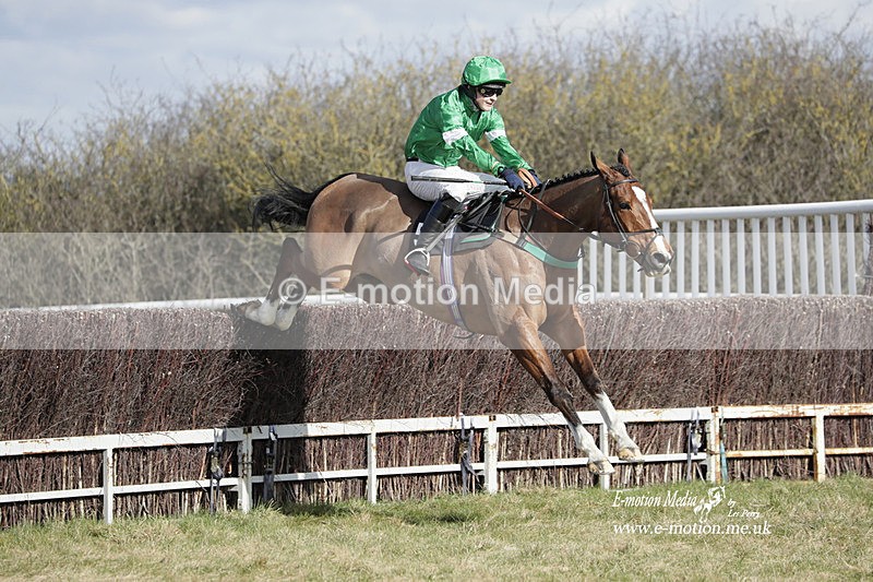 PtP 260223 300 - South & West Wilts Point-to-Point Larkhill 26/02/23