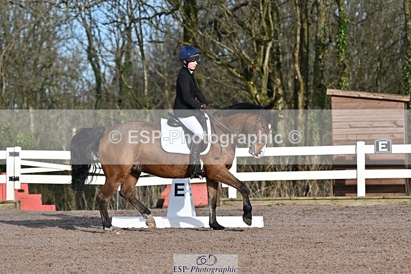 250125-104105-00214 - Dressage - CT Class 4 BE95 (80cm)