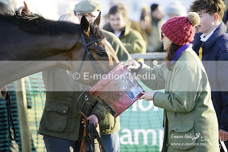 PtP 300122 667 - South Dorset Hunt - Point-to-Point Races 30/01/2022