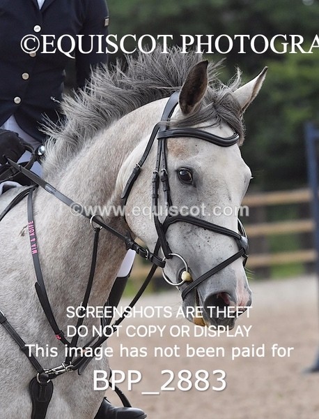 BPP_2883 - CLASS 2 Club/ Unaffiliated 80cms Open