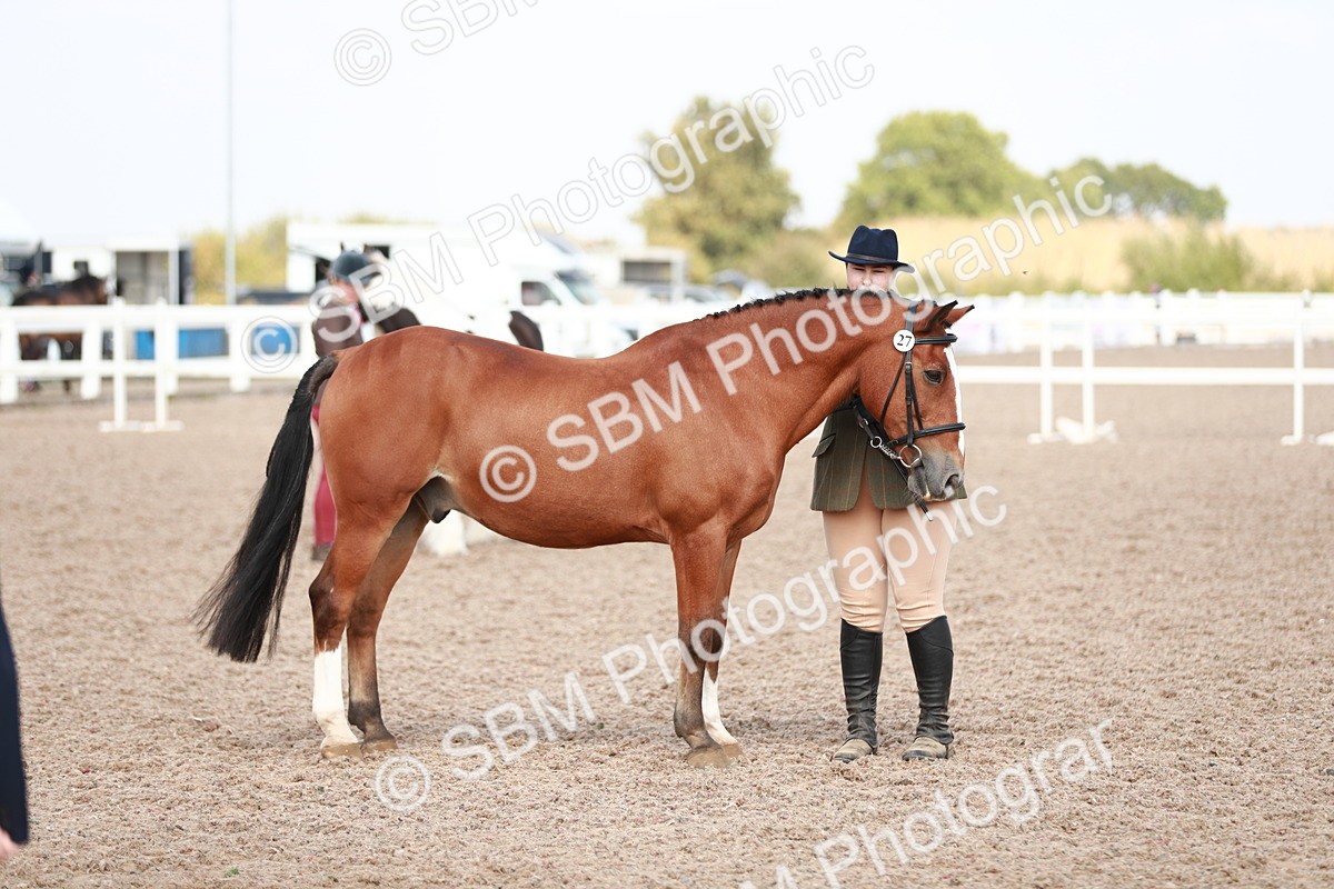SBM_13907 - Class 209 IH Veteran Pony