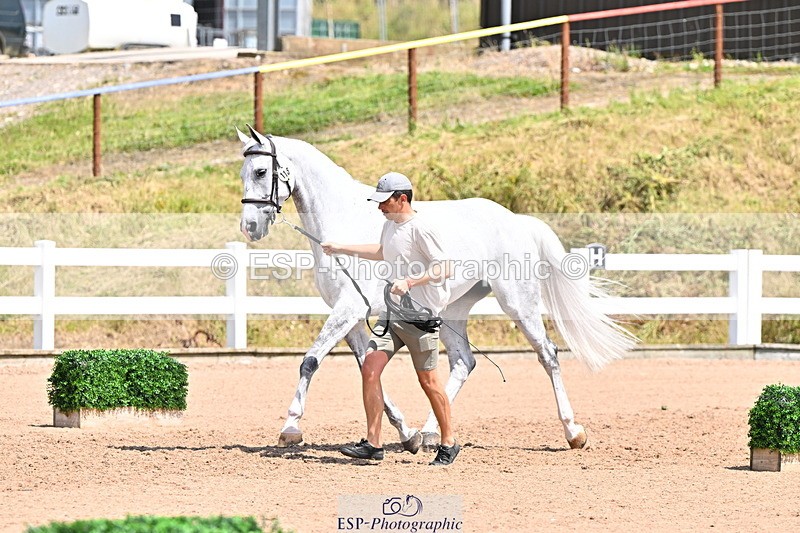 240718A-105317-01791 - Trot Up 1pm to 2pm
