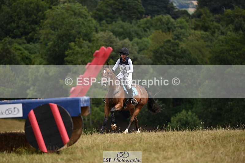 250802A-130814-04478 - B-084-Joanna.L.Dyer-BONAFIDE.ELUSION