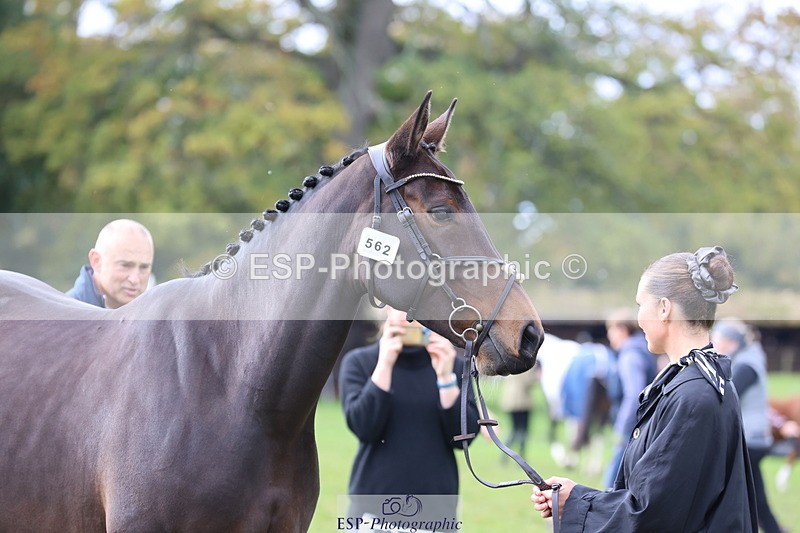 251026A-121141-25942 - G-562-Phoebe.Lagor