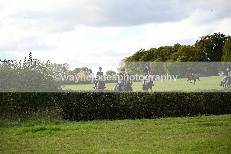 WJ6_5571 - Camera 1