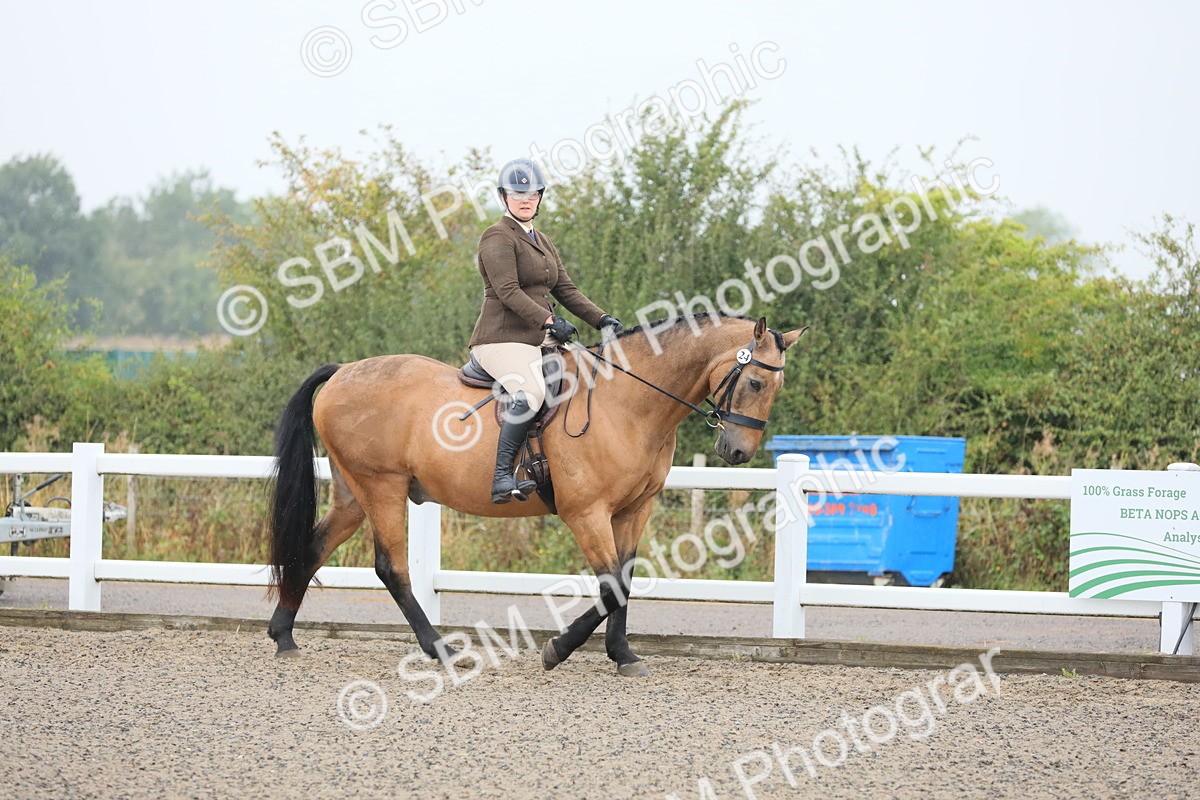 SBM_19840 - Class 801 - Ridden Veteran
