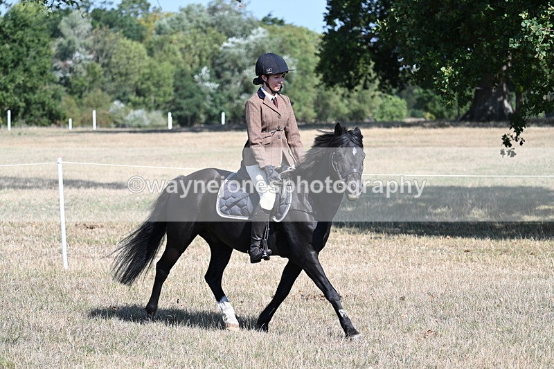 WJ7_3798 - Class 9 Mountain & Moorland Ridden