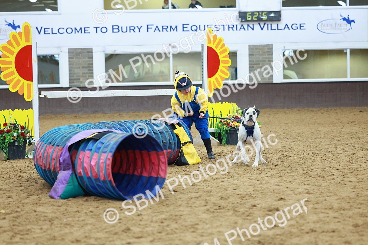 SBM_002279 - Class 3 - Horse & Hound (60cm)