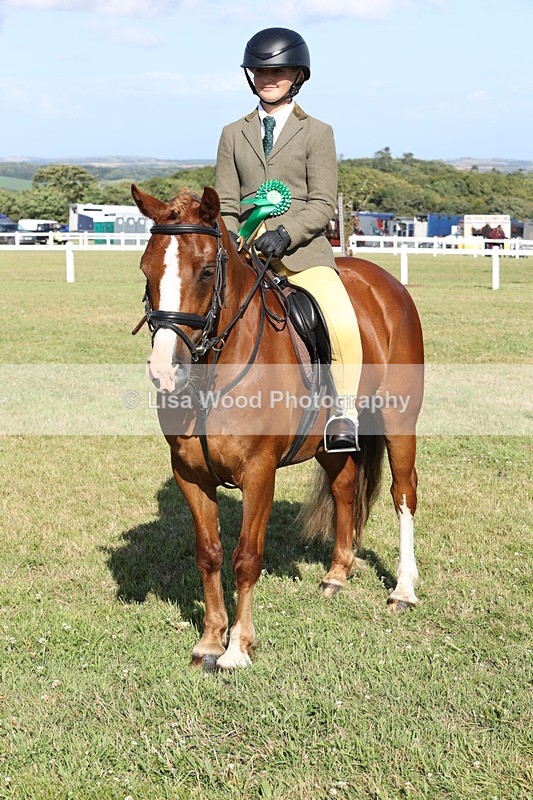 JPP_3055 - Class 20: Working Hunter 70cm