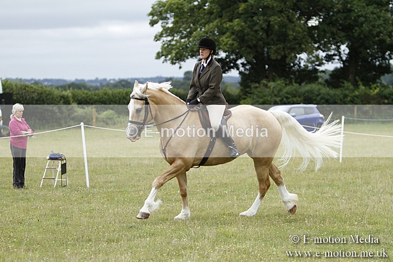 BVR160717-157 - Ring 3 BVRC Show 16/07/17