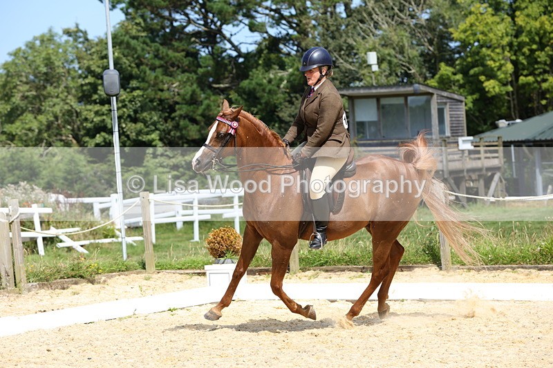 1X9A8359 - Class 13: Arab Ridden