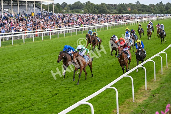 220824-Race 6-Angel Hunter-7837 - Race 6 4.45pm sensory-junction.co.uk Autism Awareness EBF Stallions Nursery Handicap