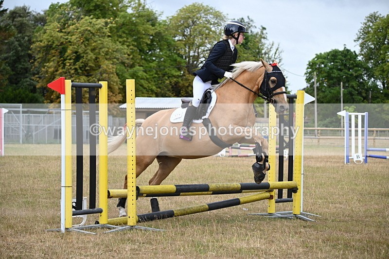 WJ6_9914 - Class 13 Novice Jumping 60cm