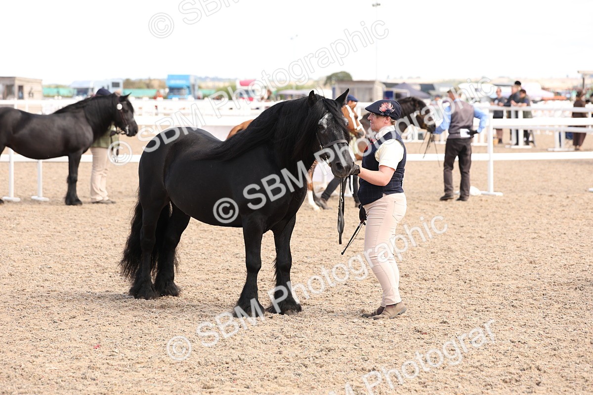 SBM_15054 - Class 209 - IH Veteran Pony