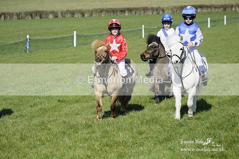 PtP 190322 57 - Wilton Hunt PtP Milborne St Andrew 19/03/22