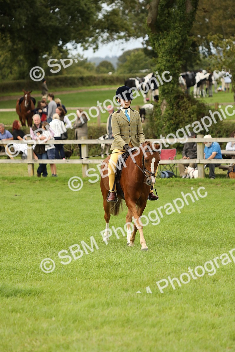 SBM_71640 - S41 - Ridden Equitation (Best Rider)
