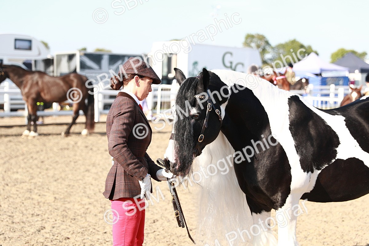 SBM_00087 - Class 40 Best Turned Out IH