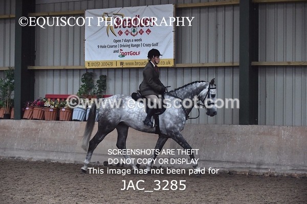 JAC_3285 - CLASS 8 BHS Scotland Riding Club Working Hunter Qualifier