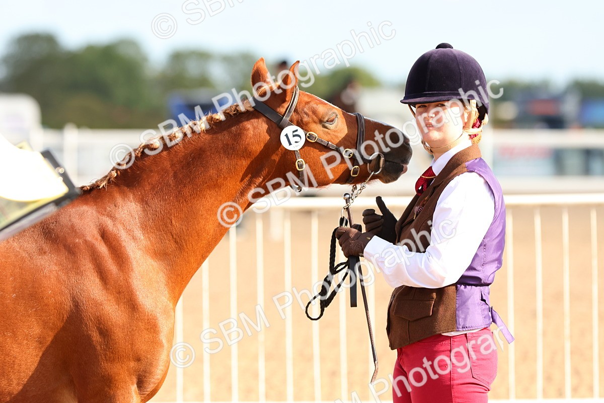 SBM_09230 - Class 204 - Young Handler