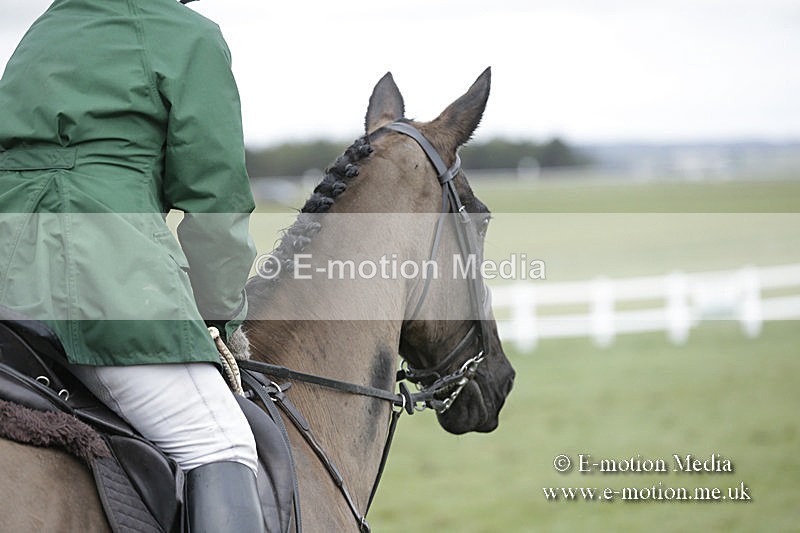 PtP 150320 0468 - New Forest Point-to-Point Larkhill 15/03/20