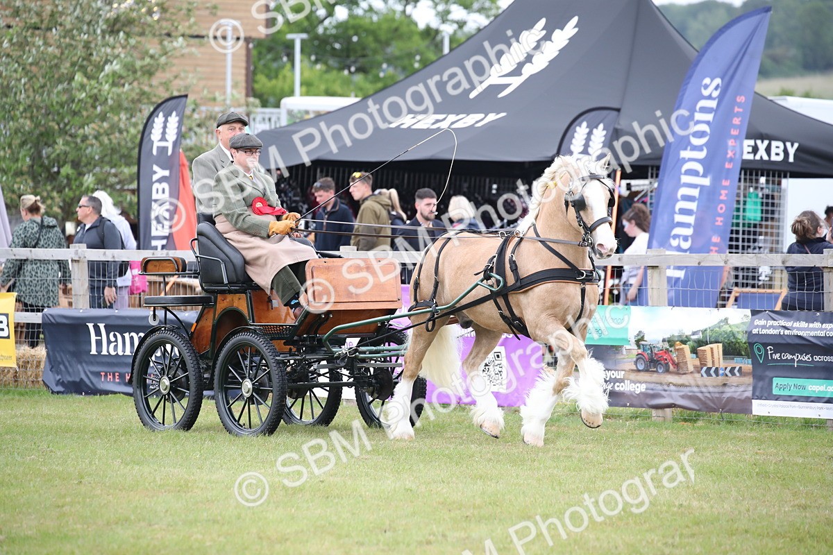 SBM_05697 - Class 12-15 - HOYS Private Driving