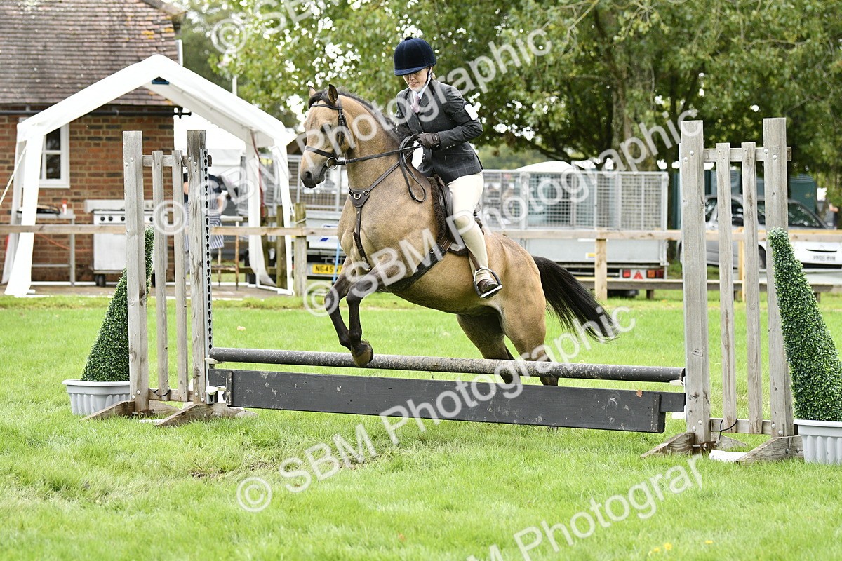 SBM_41344 - S32 - Mountain & Moorland Working Hunter Pony
