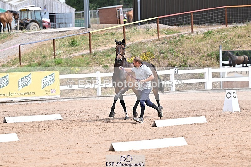 250716-125642-00236 - Trot Up 12.30 to 1.30